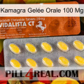 Kamagra Gelée Orale 100 Mg 42